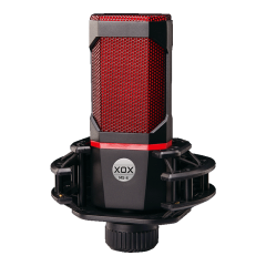Microphone